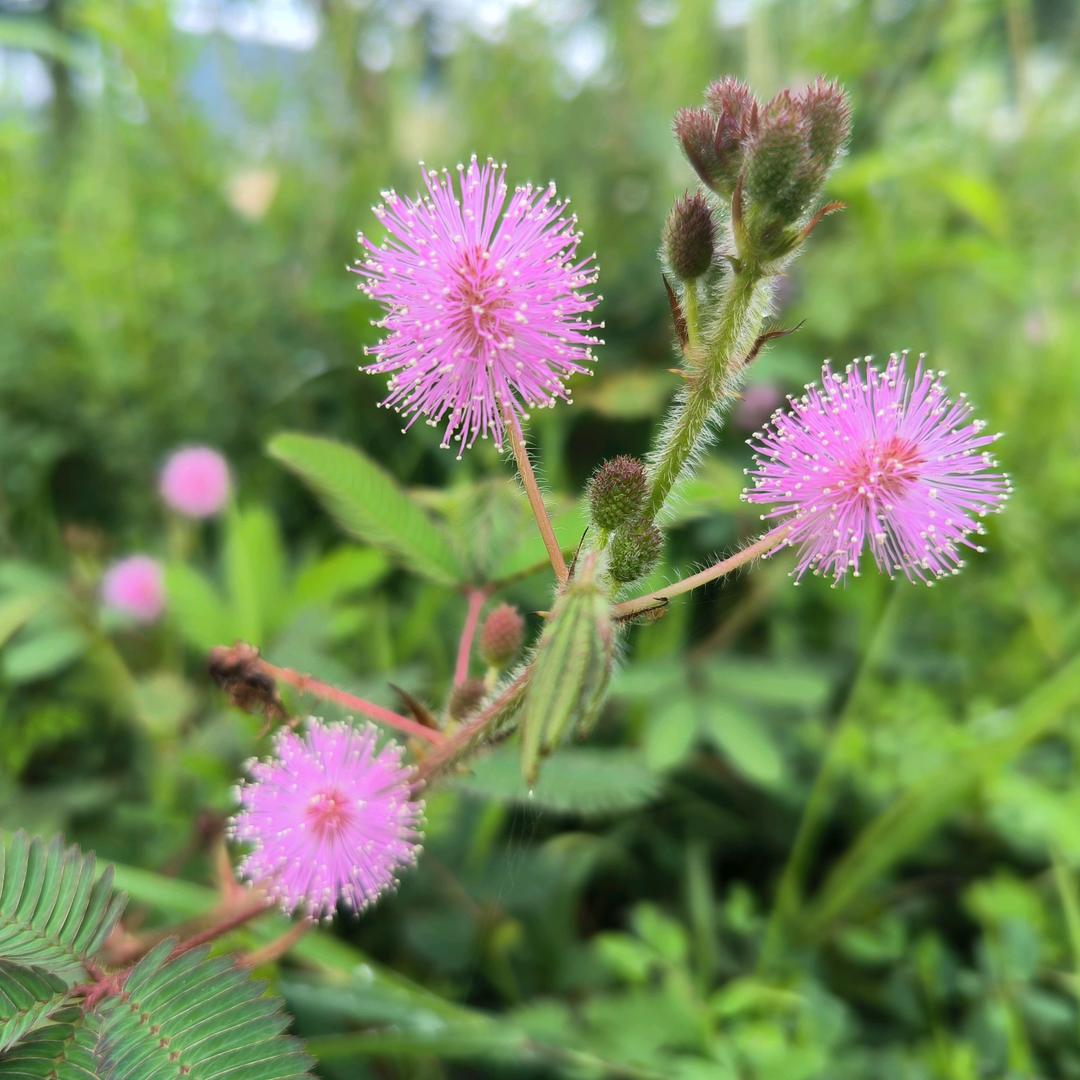 故酒相伴⫍ ⃢👁ܫ👁⃢ ⫎