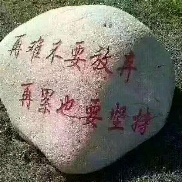 小不点
