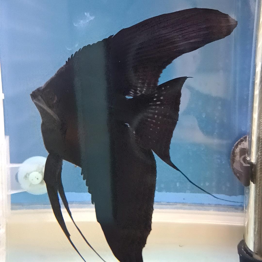 静水远航