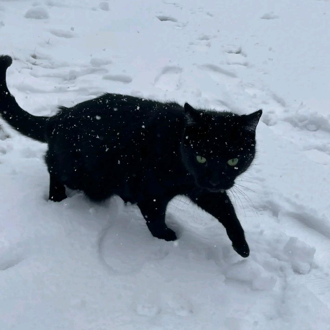 ㅤ￴￴ ￴ ￴ ￴ ￴ ￴ ￴￴ ￴ ￴