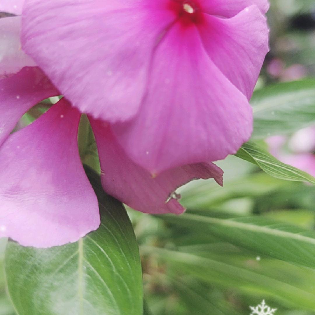 用户，1827374，6喜笑颜开636