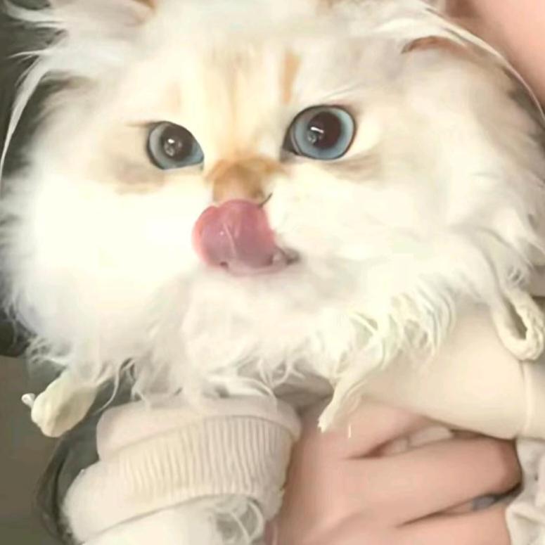 不爱了