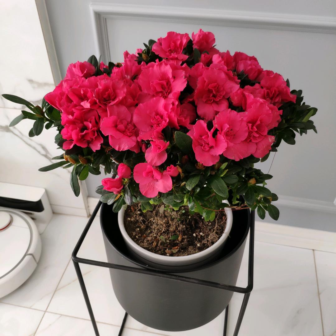 ²⁰²⁵ℯ⃝钱途辉煌᭄⁺¹⁰⁰࿐