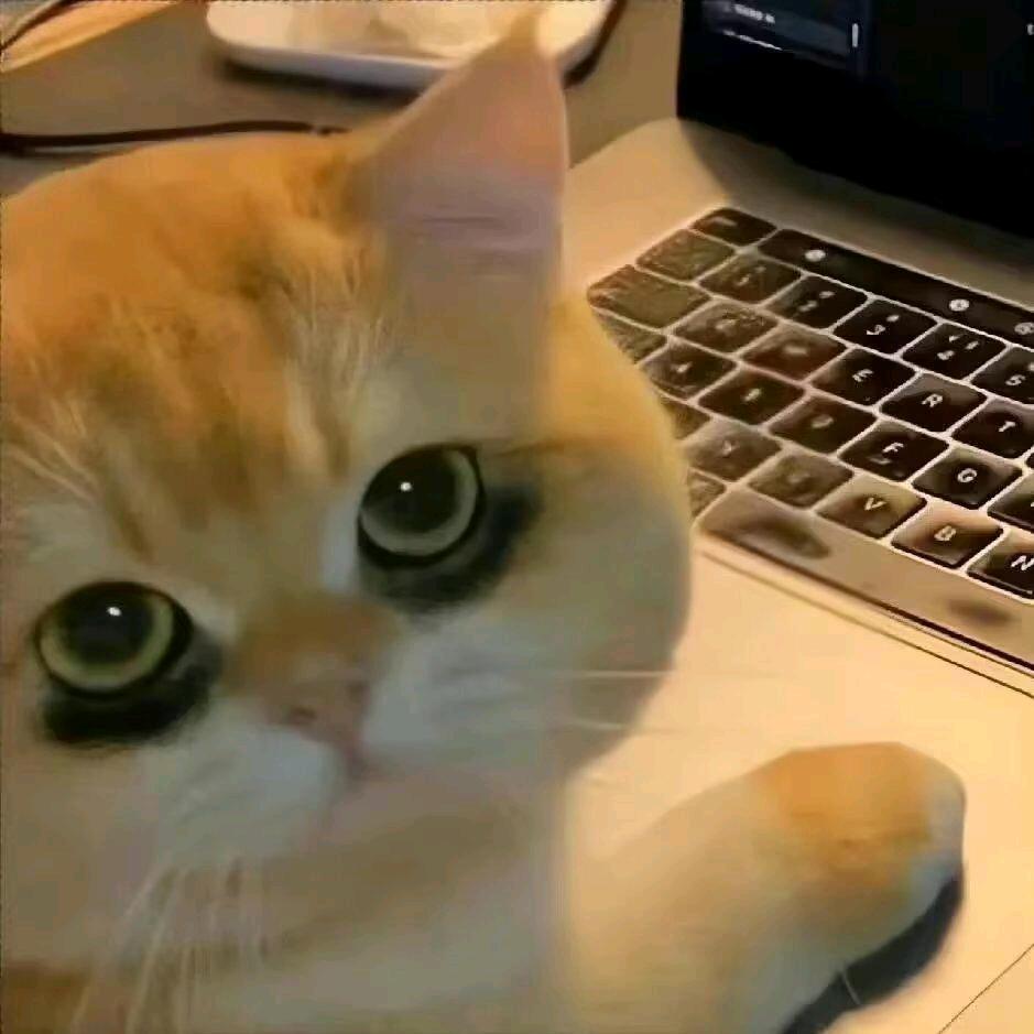 很短的腿和很怪的鞋