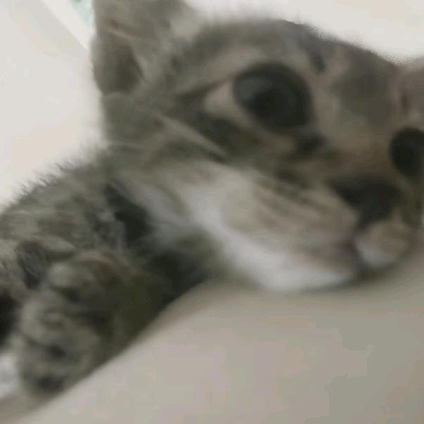 天空下小宇