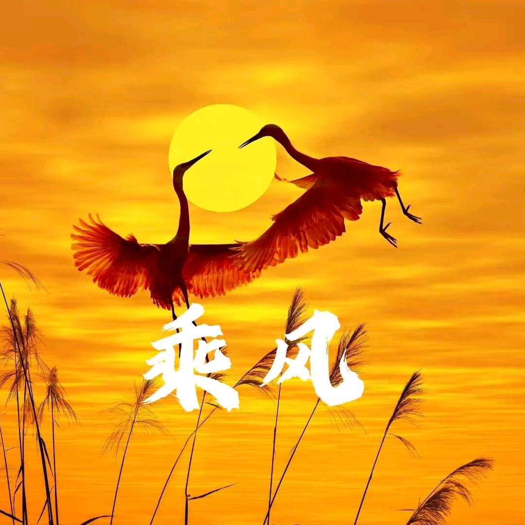 乘风影视
