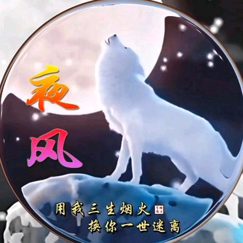 夜风🚀