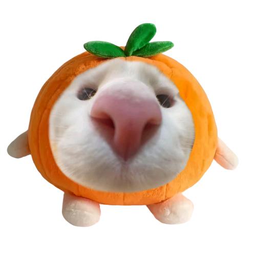 Eliauk_