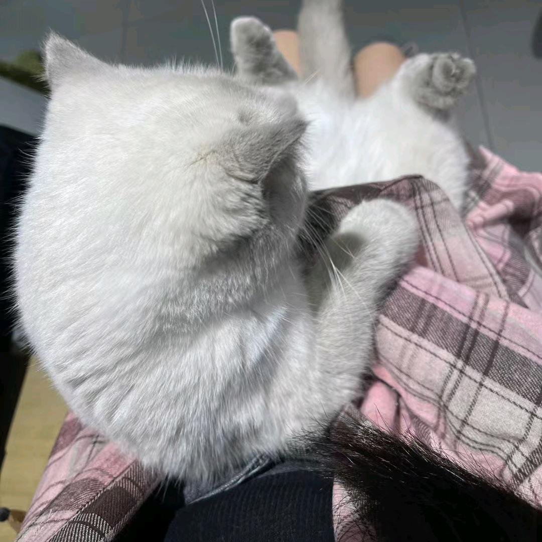 婷想出去丸ǎ