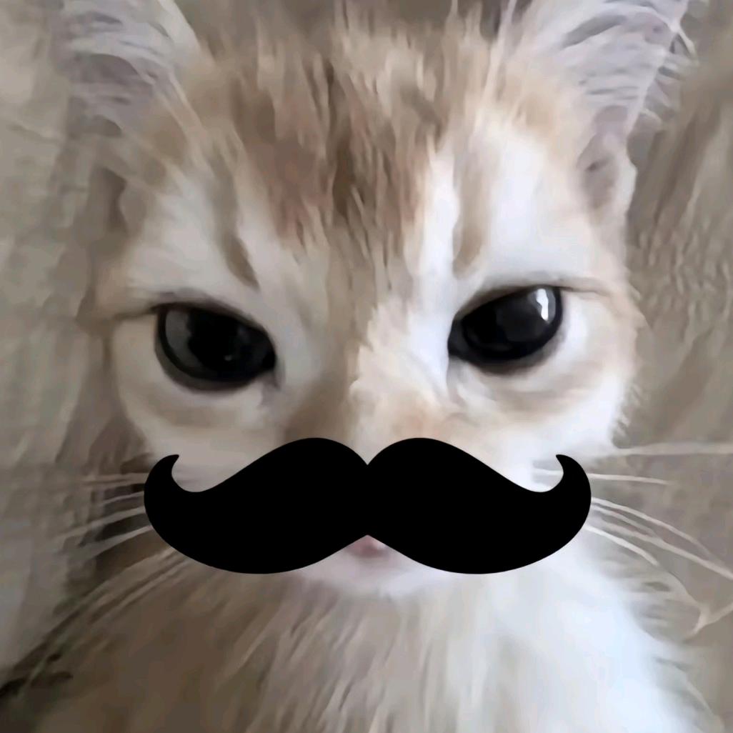 彭 于 晏 没我帅