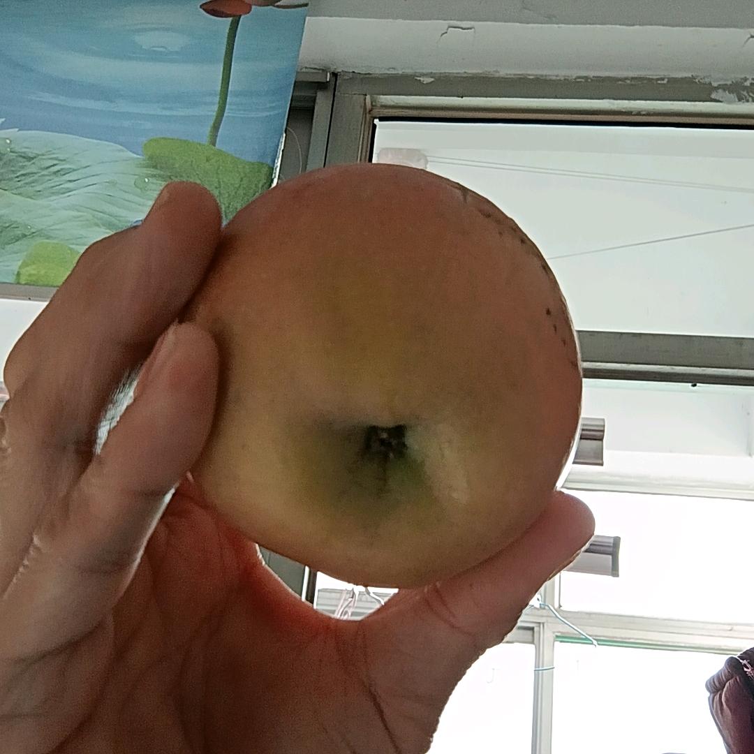 今生有缘
