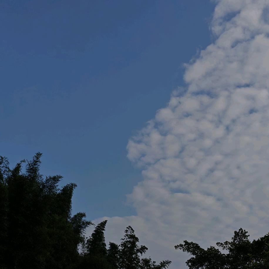 半边天，半边海