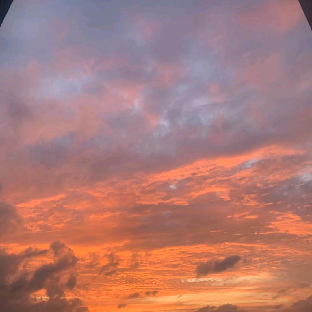 翱翔蓝天