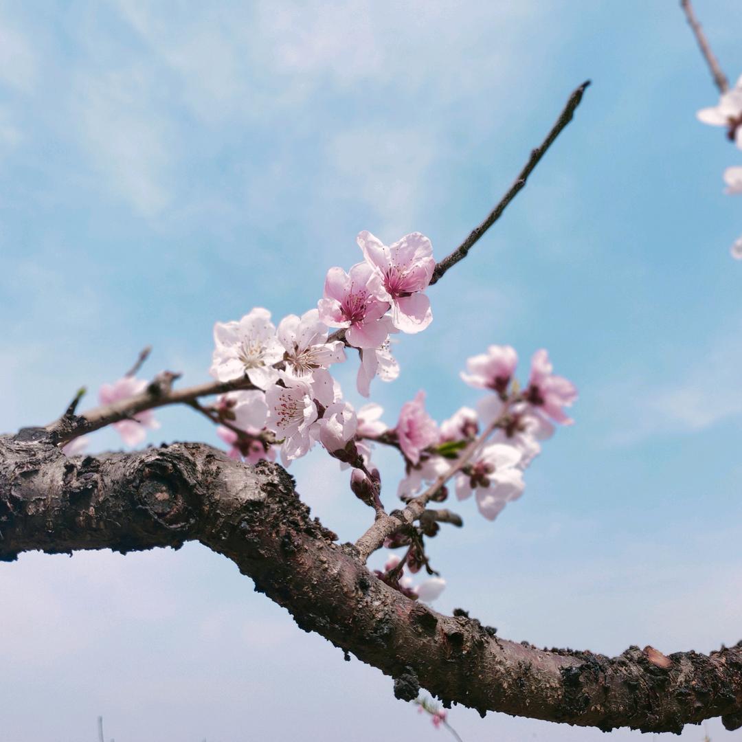 伴旧情怀