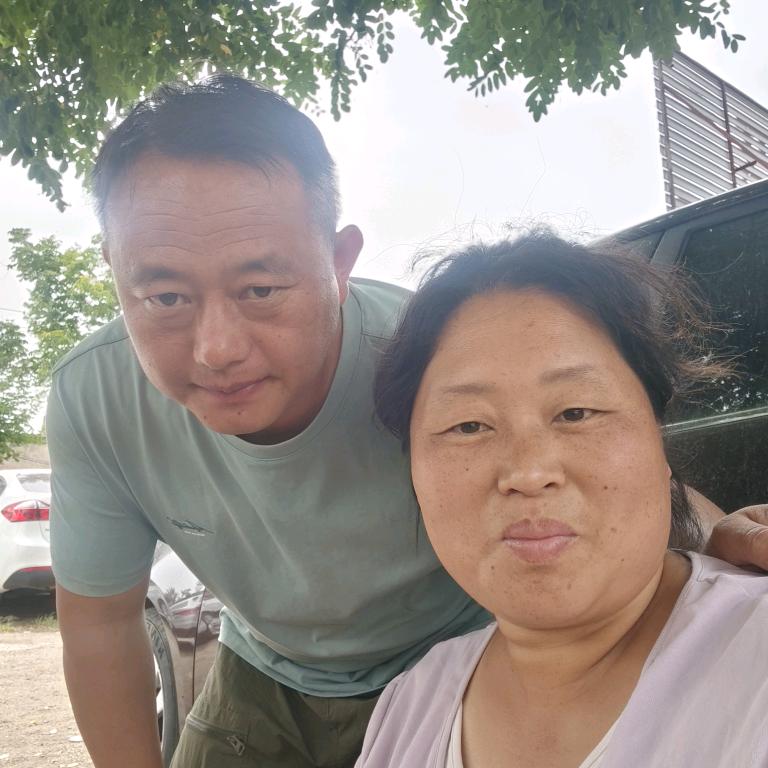 巧珍二手车批发
