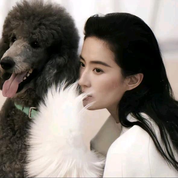 向僵尸开炮-荔枝