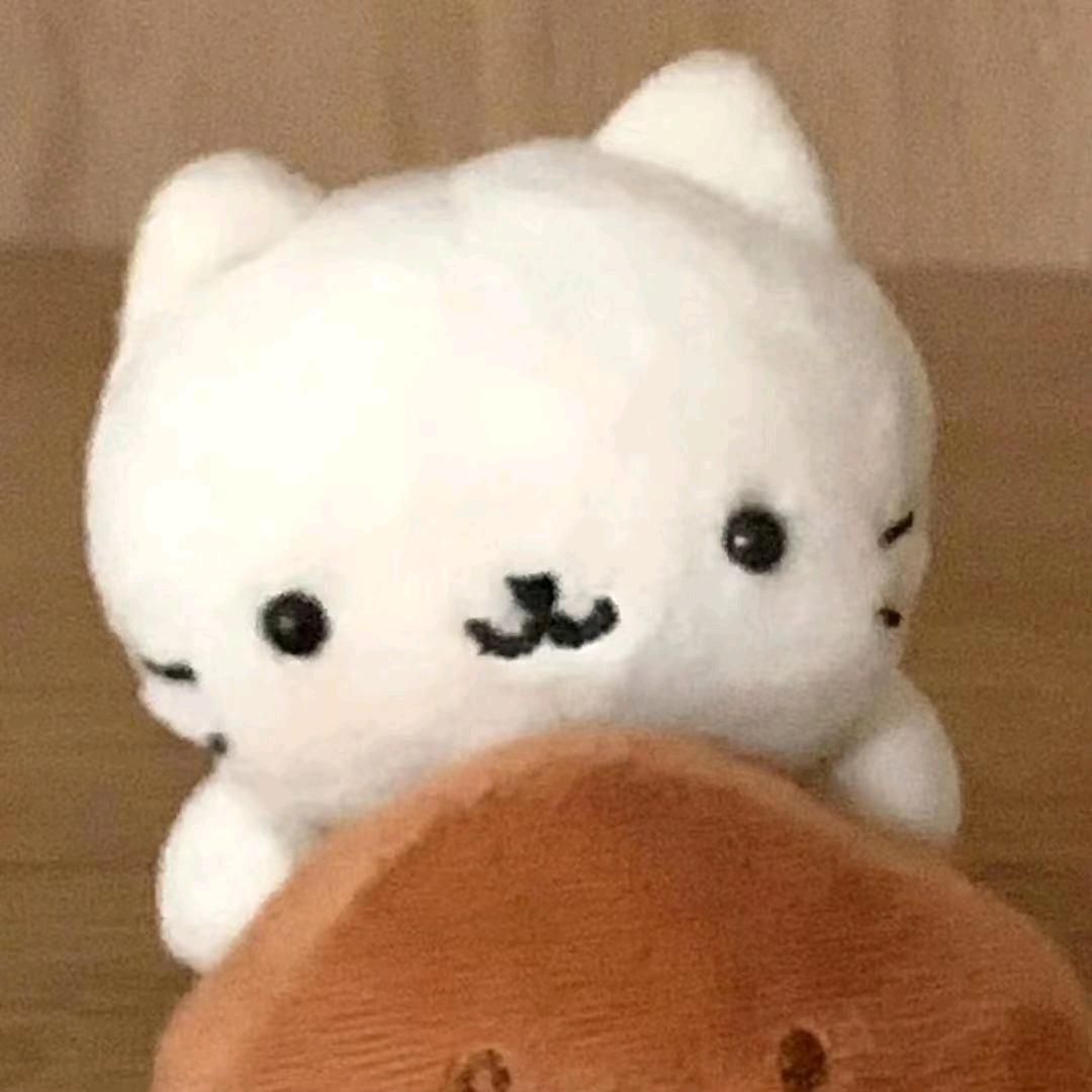 ⁺ʚ火鸡面重度依赖ɞ