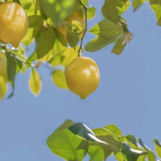 余生