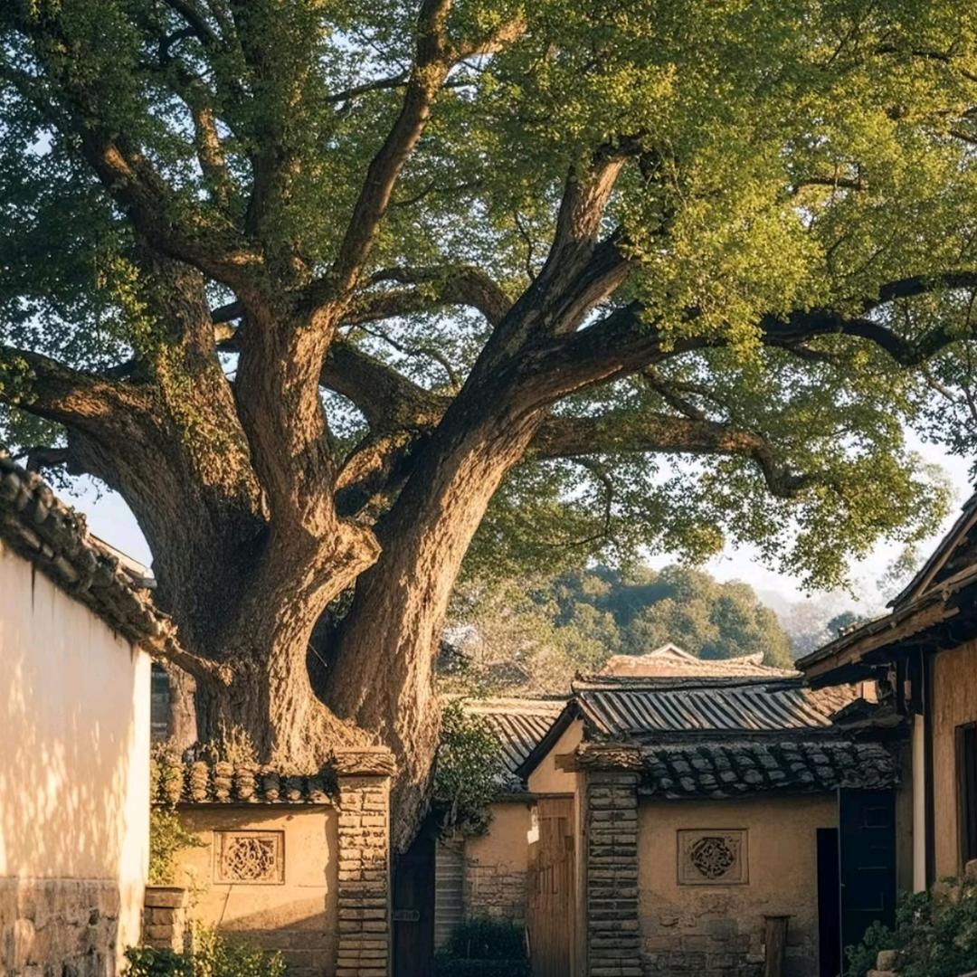 新农人静姐助农