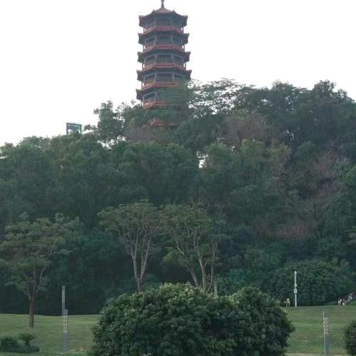 愈加
