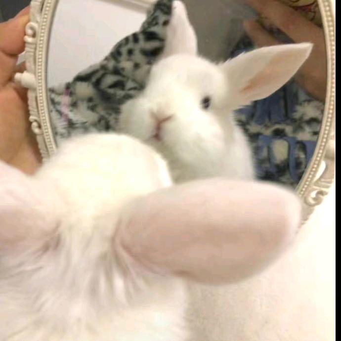 热心王友