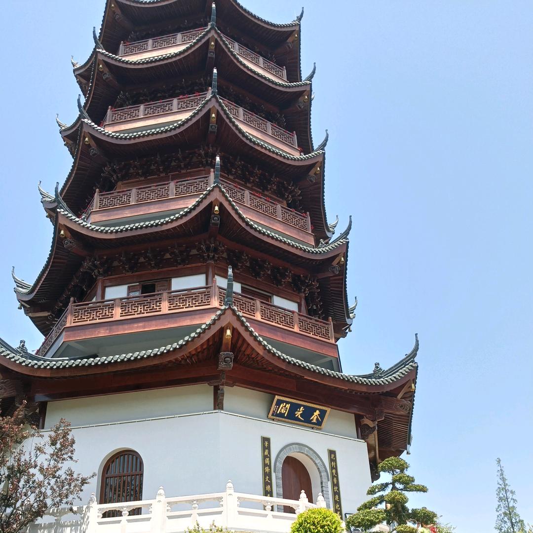 一日之计在于陈🍊🍊