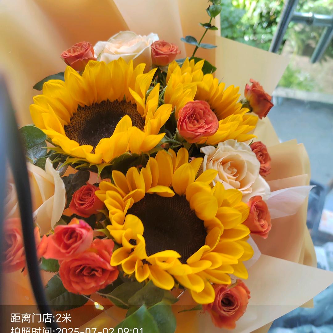 征程