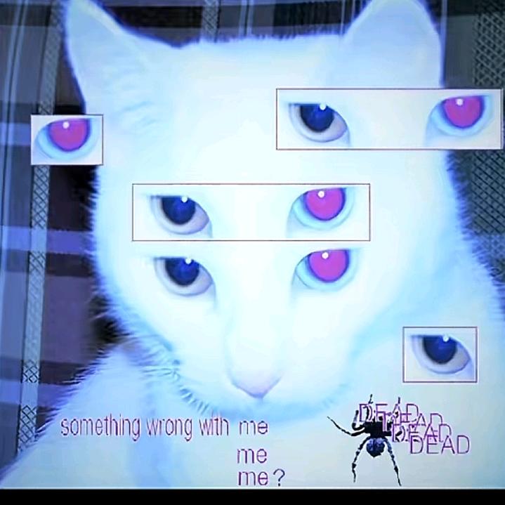 ♡(´∀｀)♡
