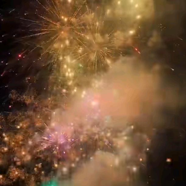 酒神8820