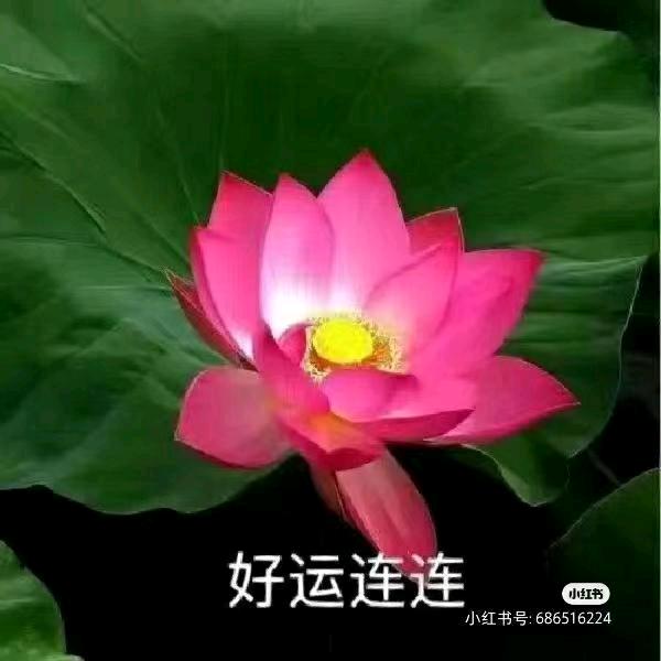 用户5537060319464