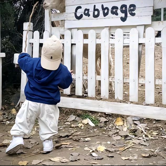 乐瑶▪︎花满楼