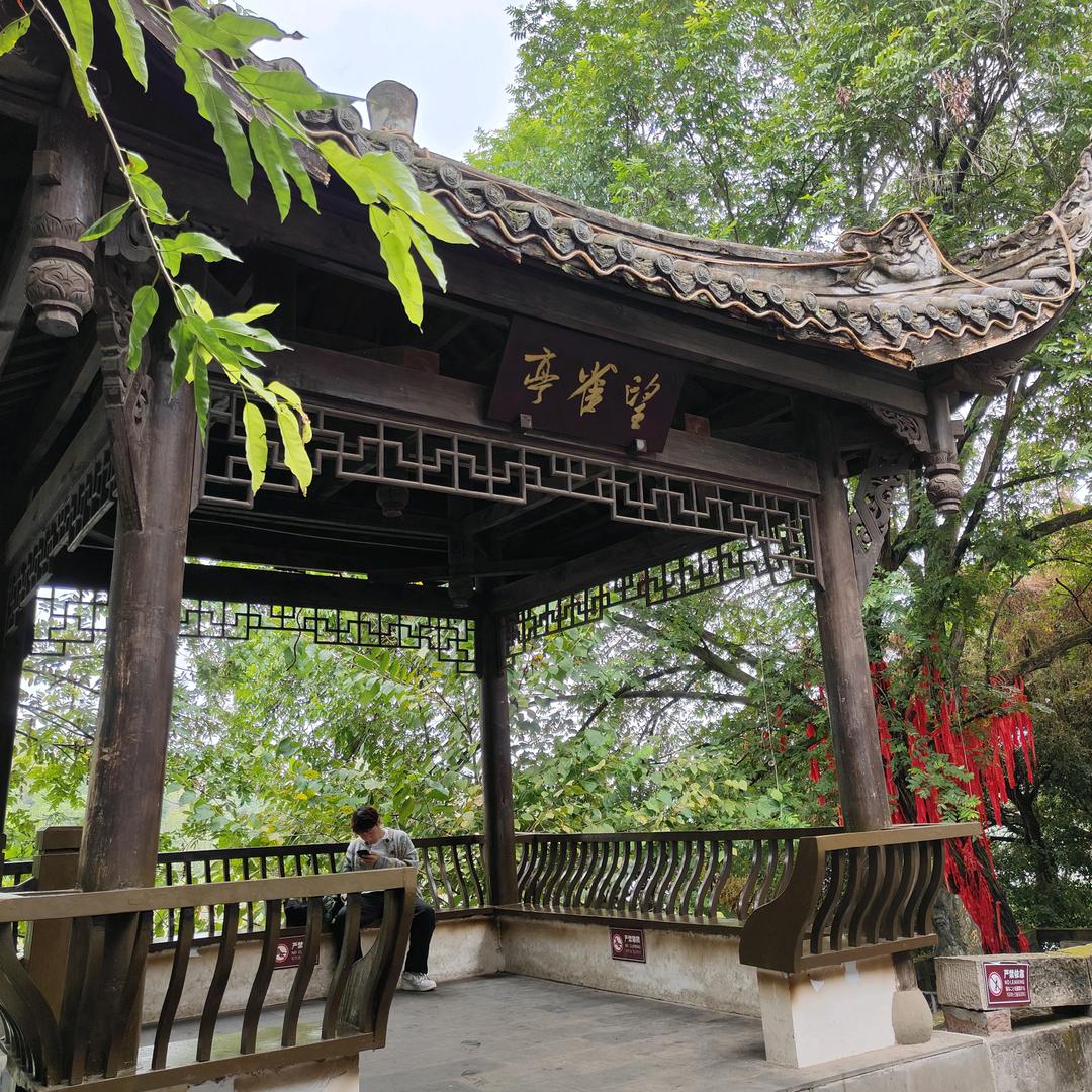 脱有形似 握手已违