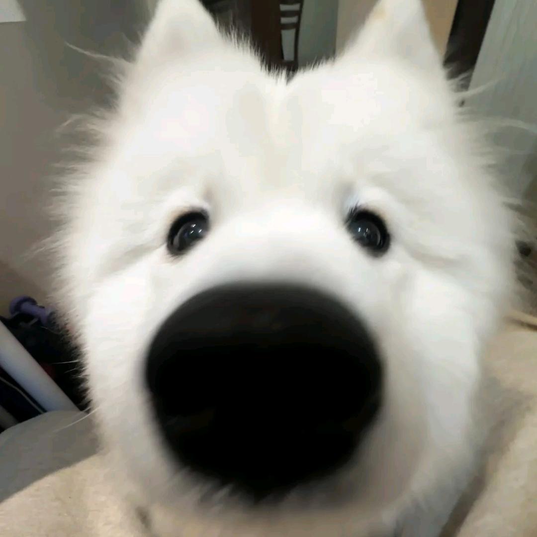 哒哒cick