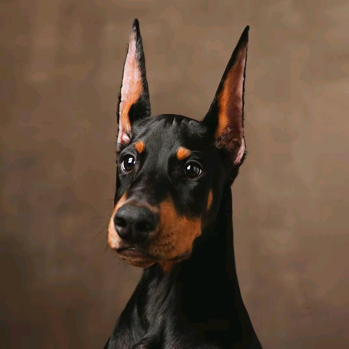 非是