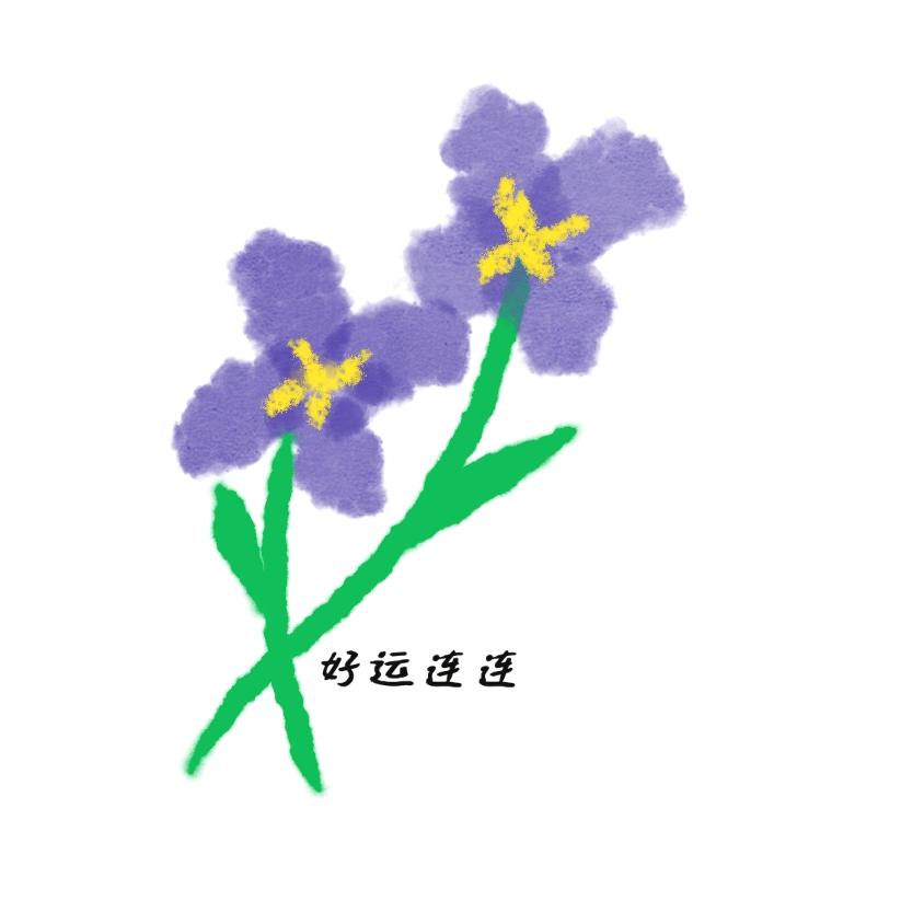 好运连连财运滚滚成功上岸（见过张真源版）