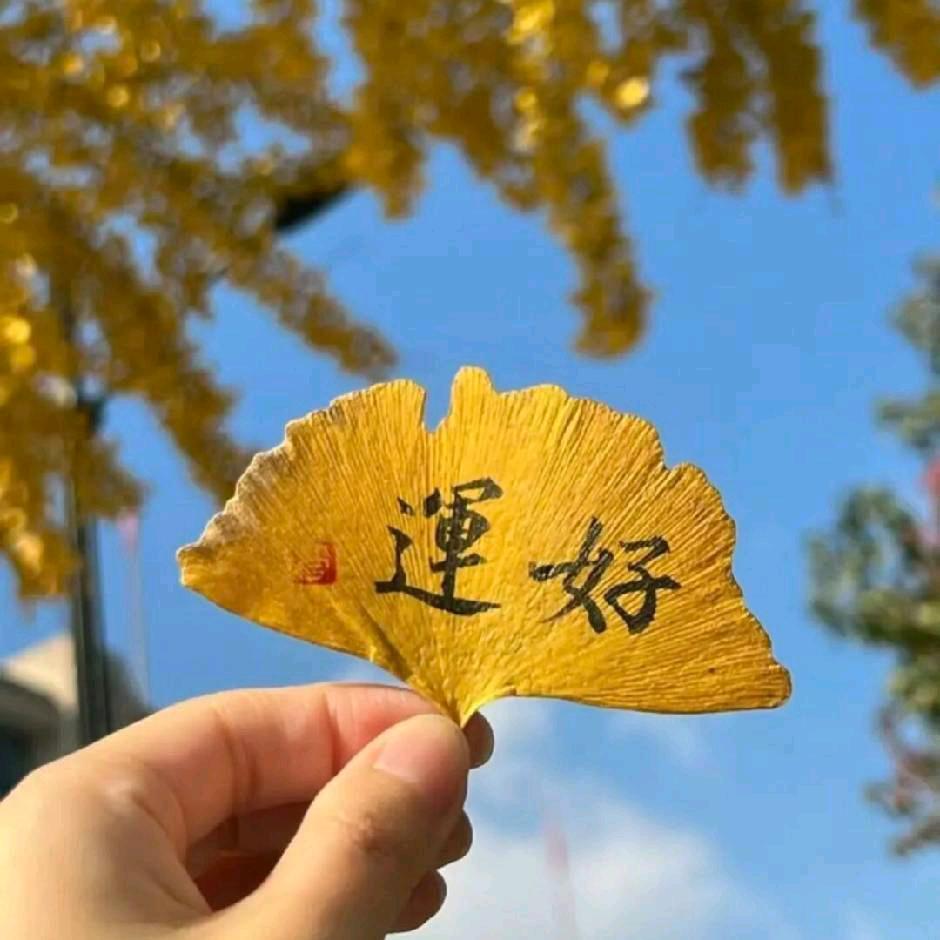 武陟万方东风小康汽车