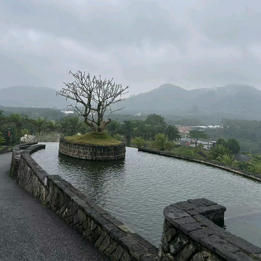 别谈情💞我戒了