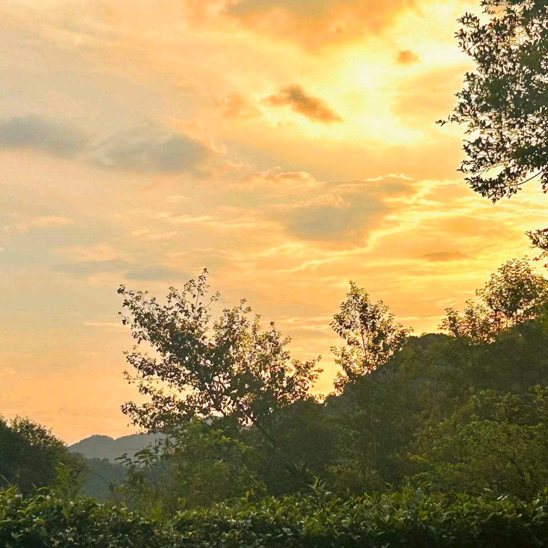 英德妇幼产房日记