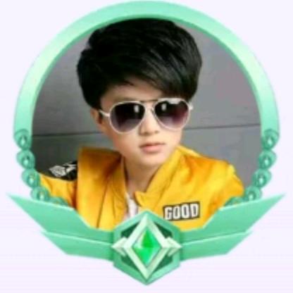子龙520