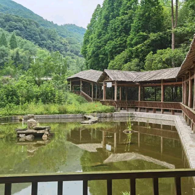圆圆妈妈