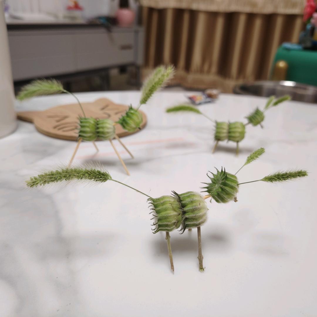 好物博学家