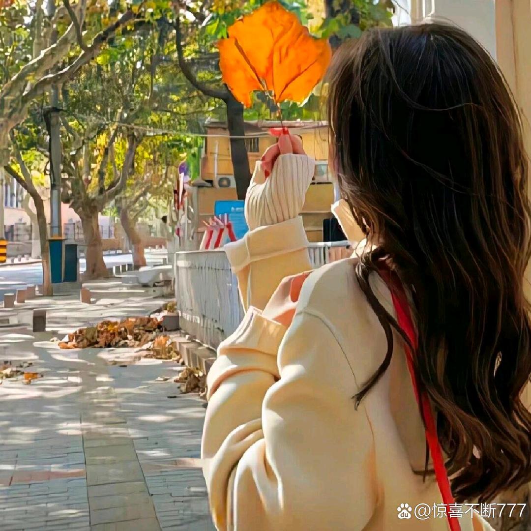 满目星河