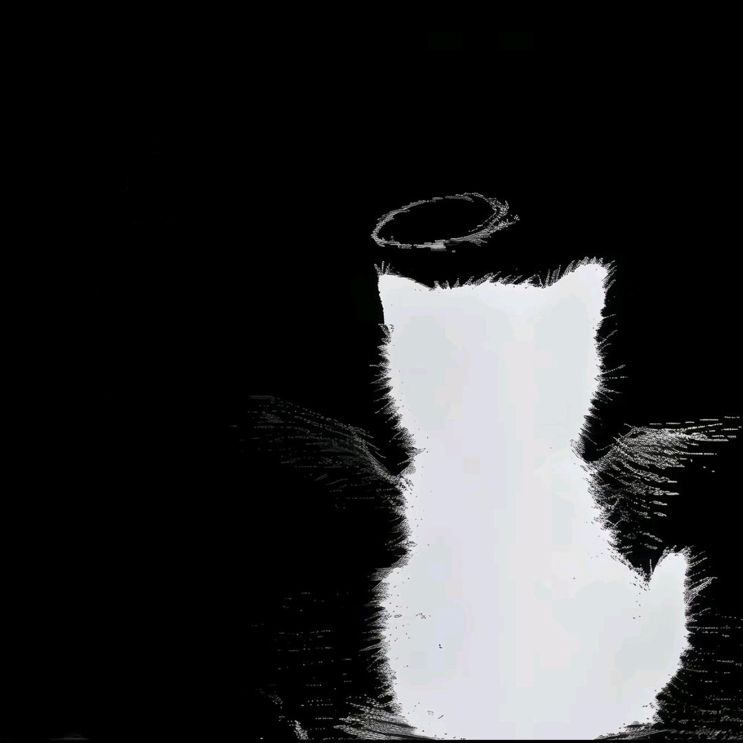 泪