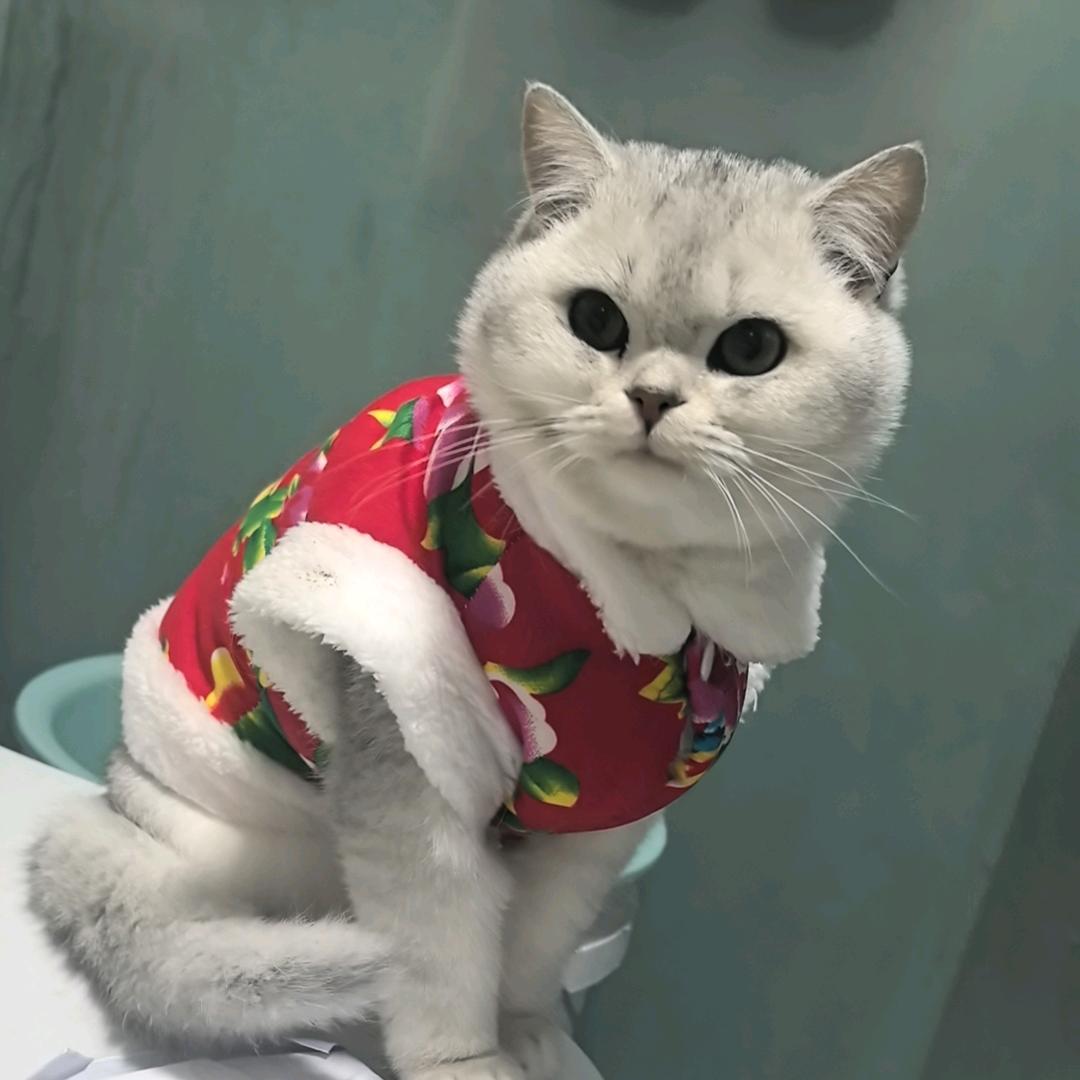 拾月