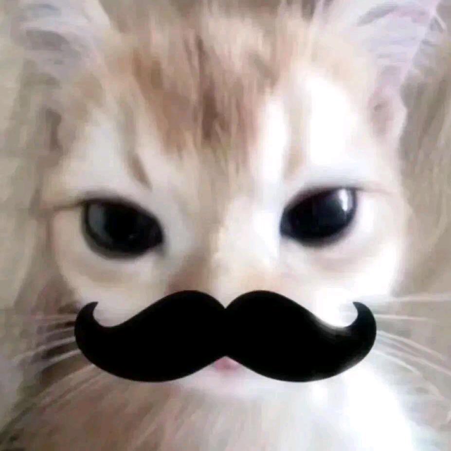 一閃一閃水果賓治