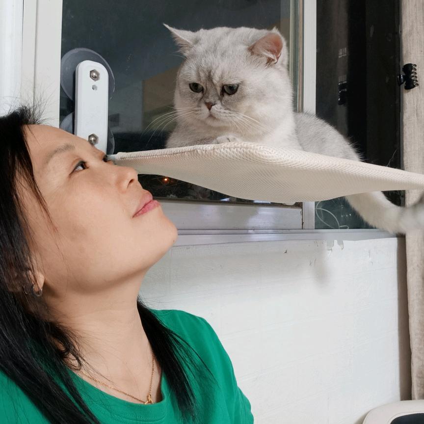 爱玲