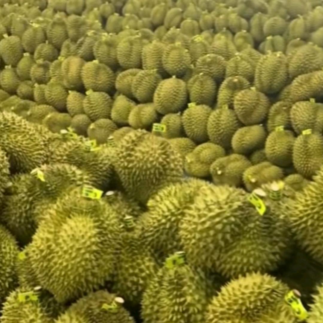 💞憧憬࿐ᩚ美好时光℘࿐