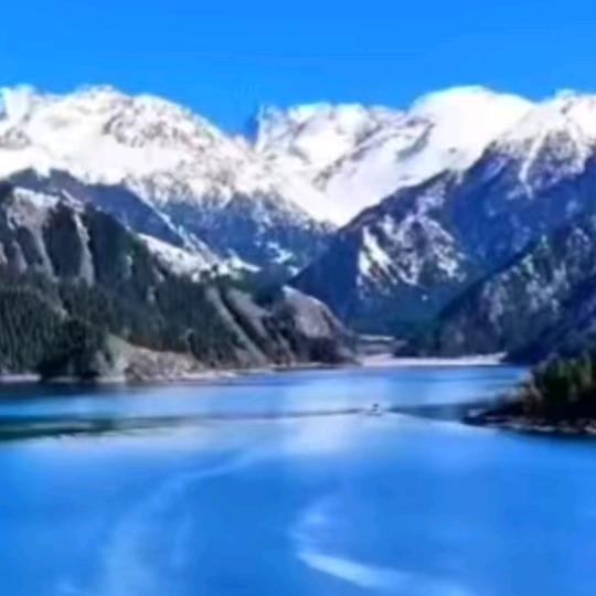 美术哲学中医111