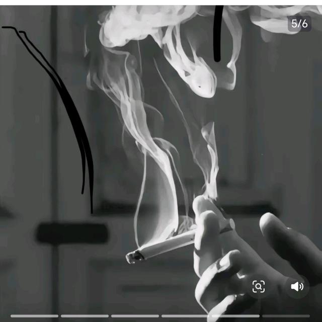 一只暴走的大橘子