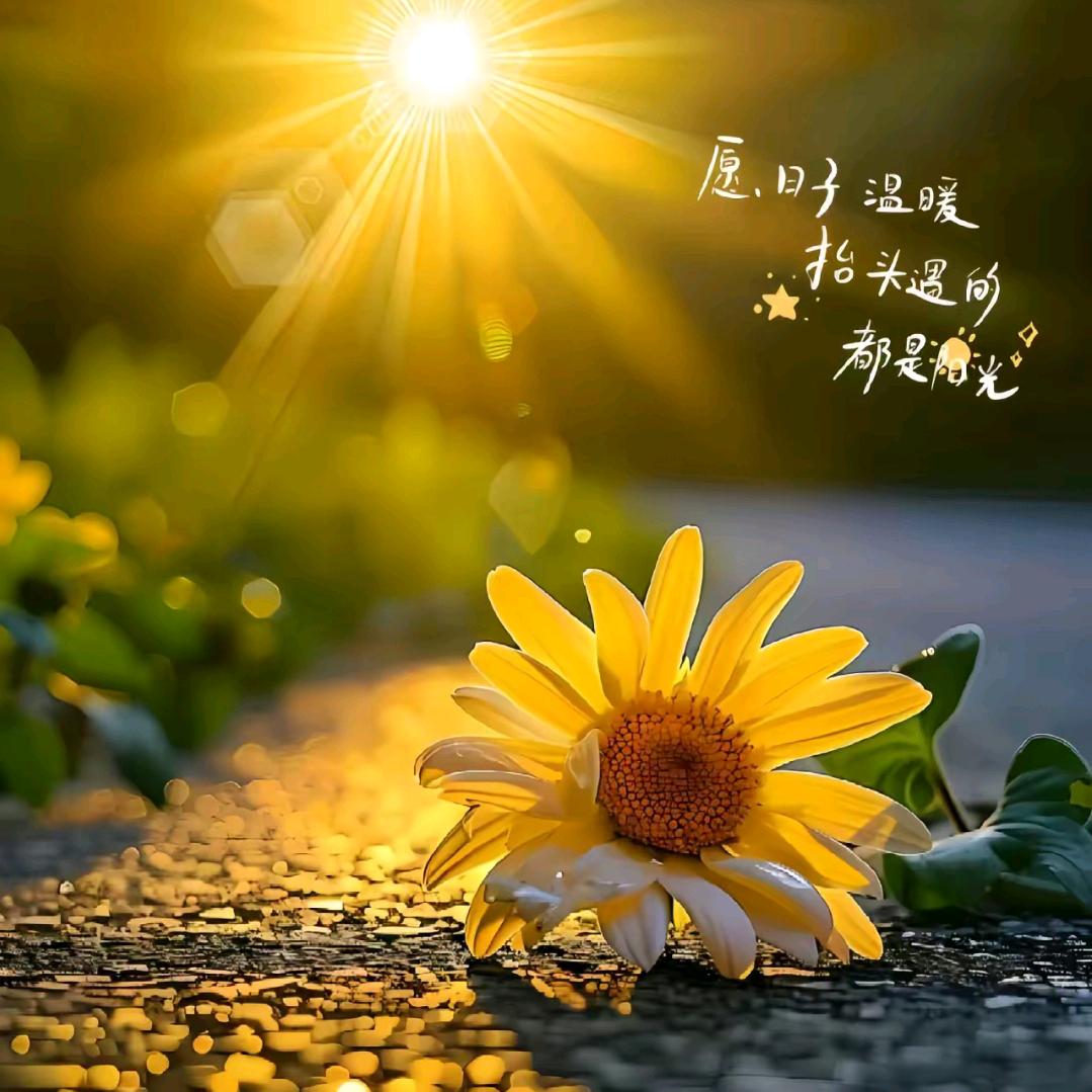 ᨳᩚᤢᤣ꯭小幸ོ运💞